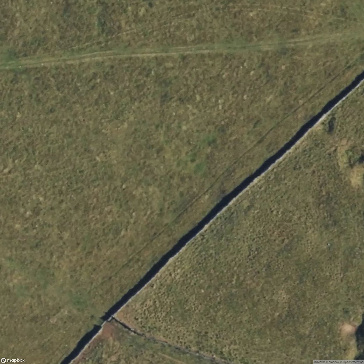 Old Moor Dig [GBR] #11485