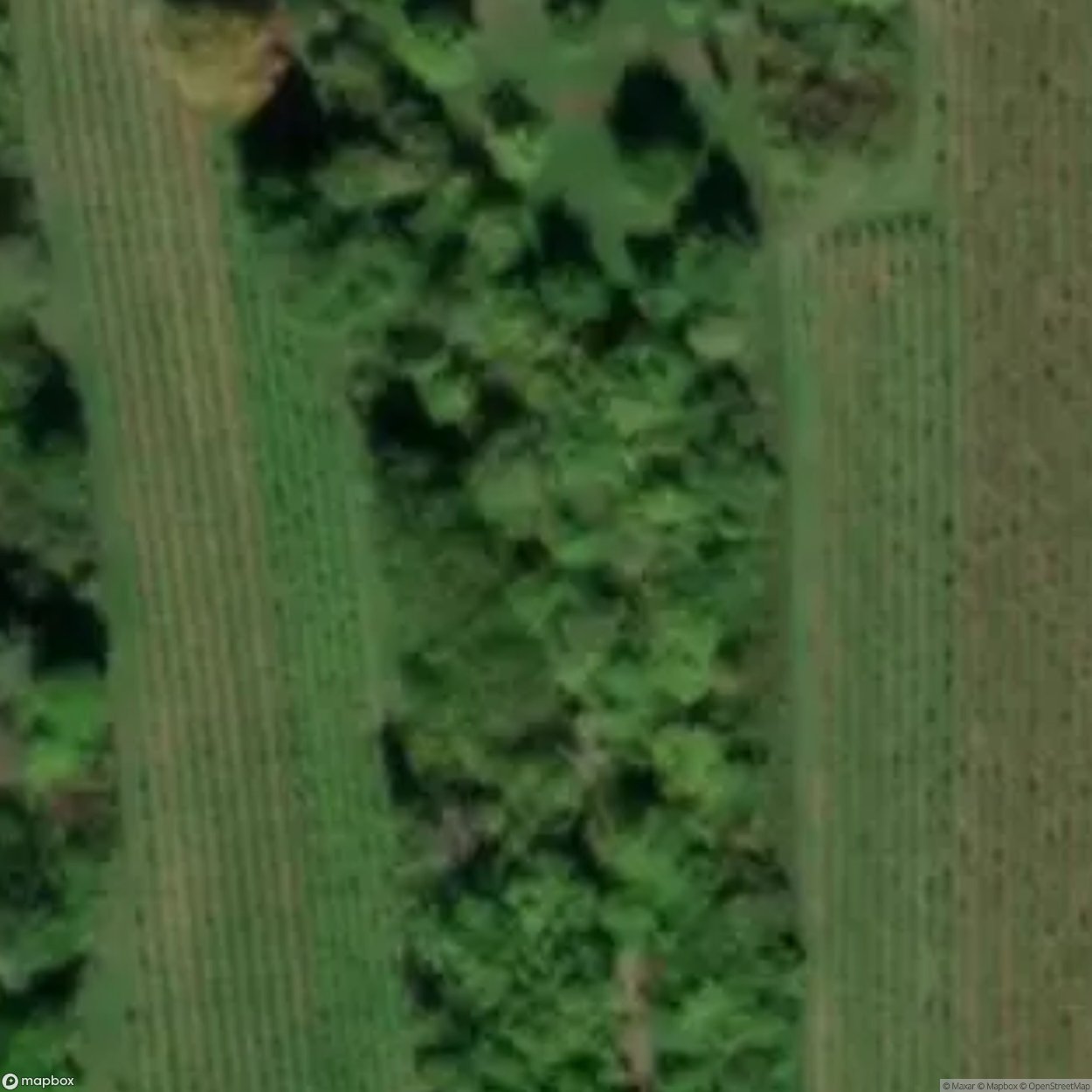 Air-Raid Shelter [DEU]