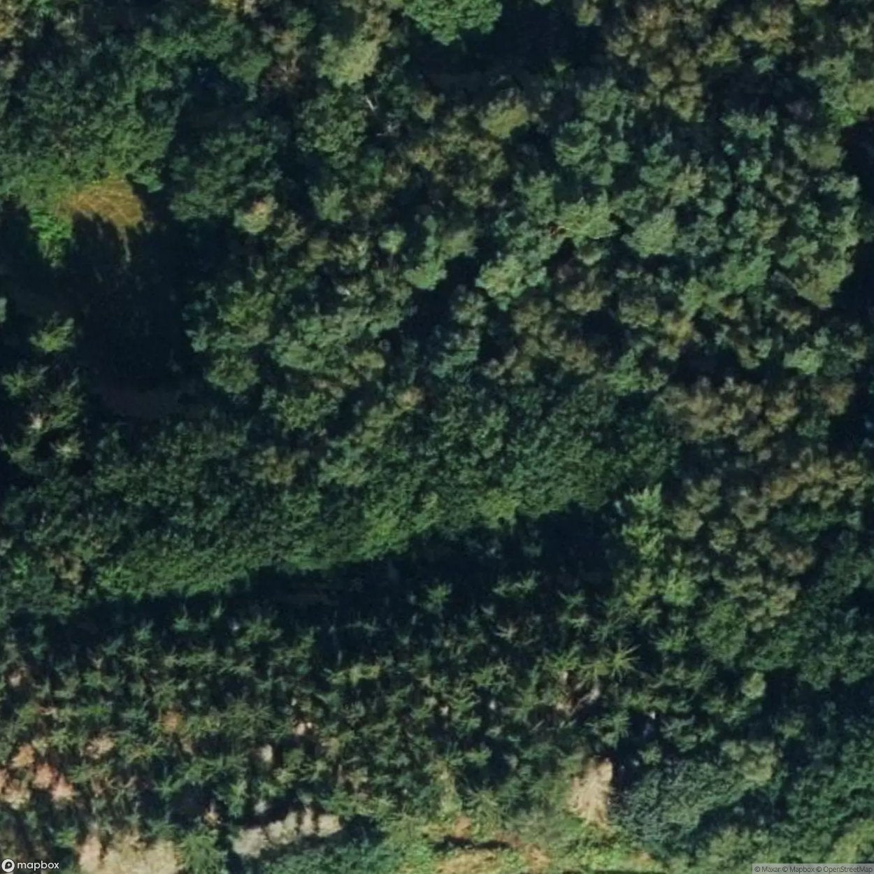 Eisenbahnwaggon im Wald [DUI]