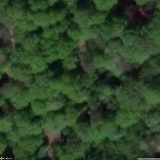 Old Mill Engine Deep Shaft [GBR]