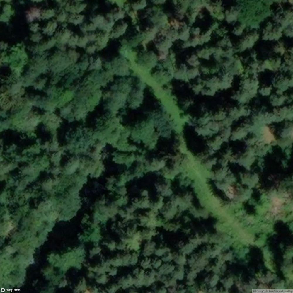 Remains Of Wehrmacht Shooting Range [DEU] #15217