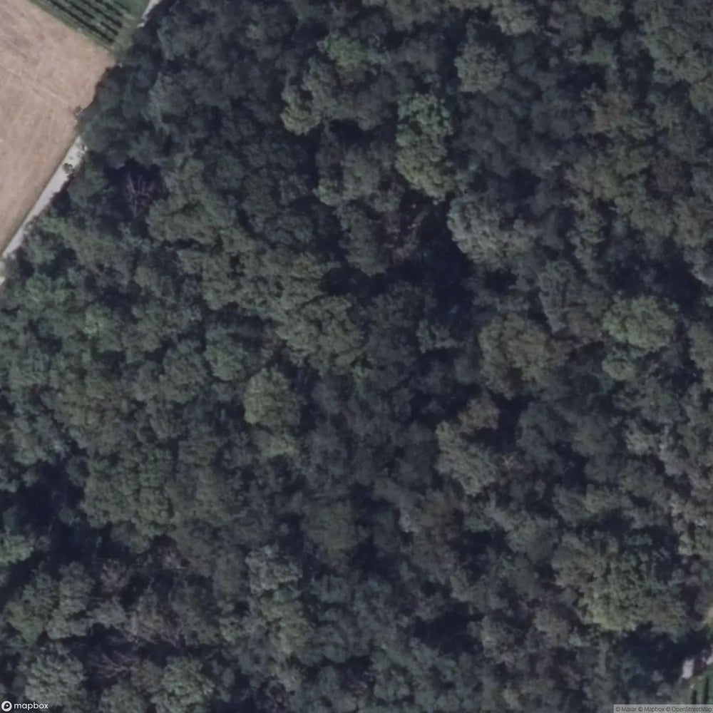 State Asylum Brandenburg In Teupitz [DEU] #08397