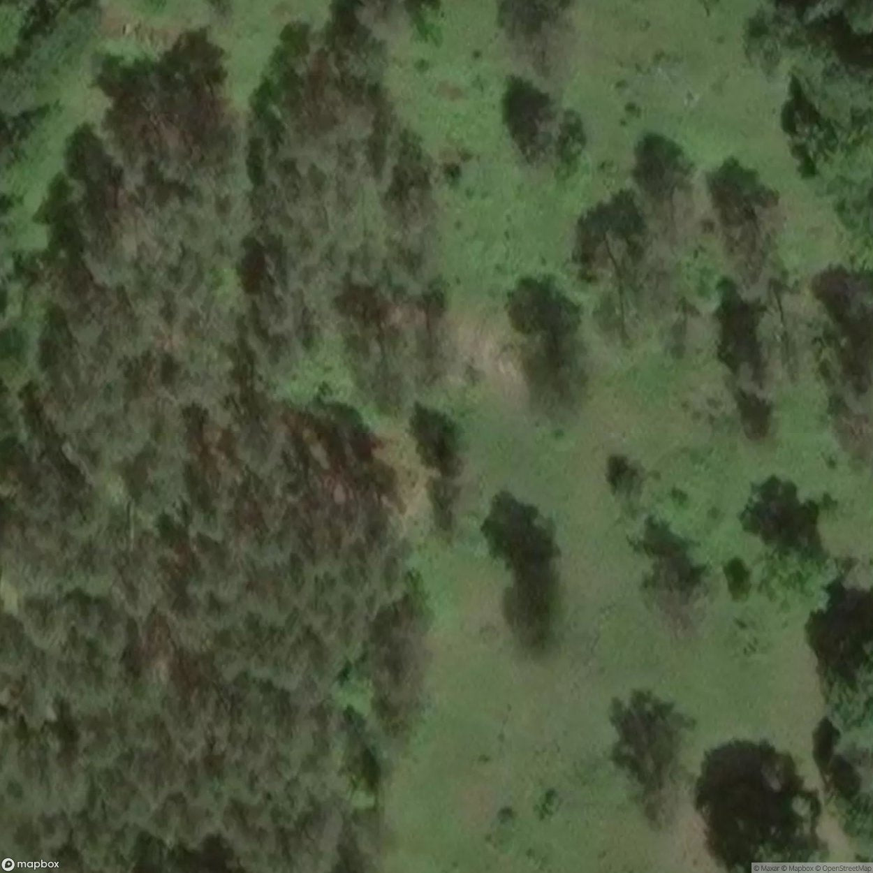 Hitler’s Stadium Hill [DEU]