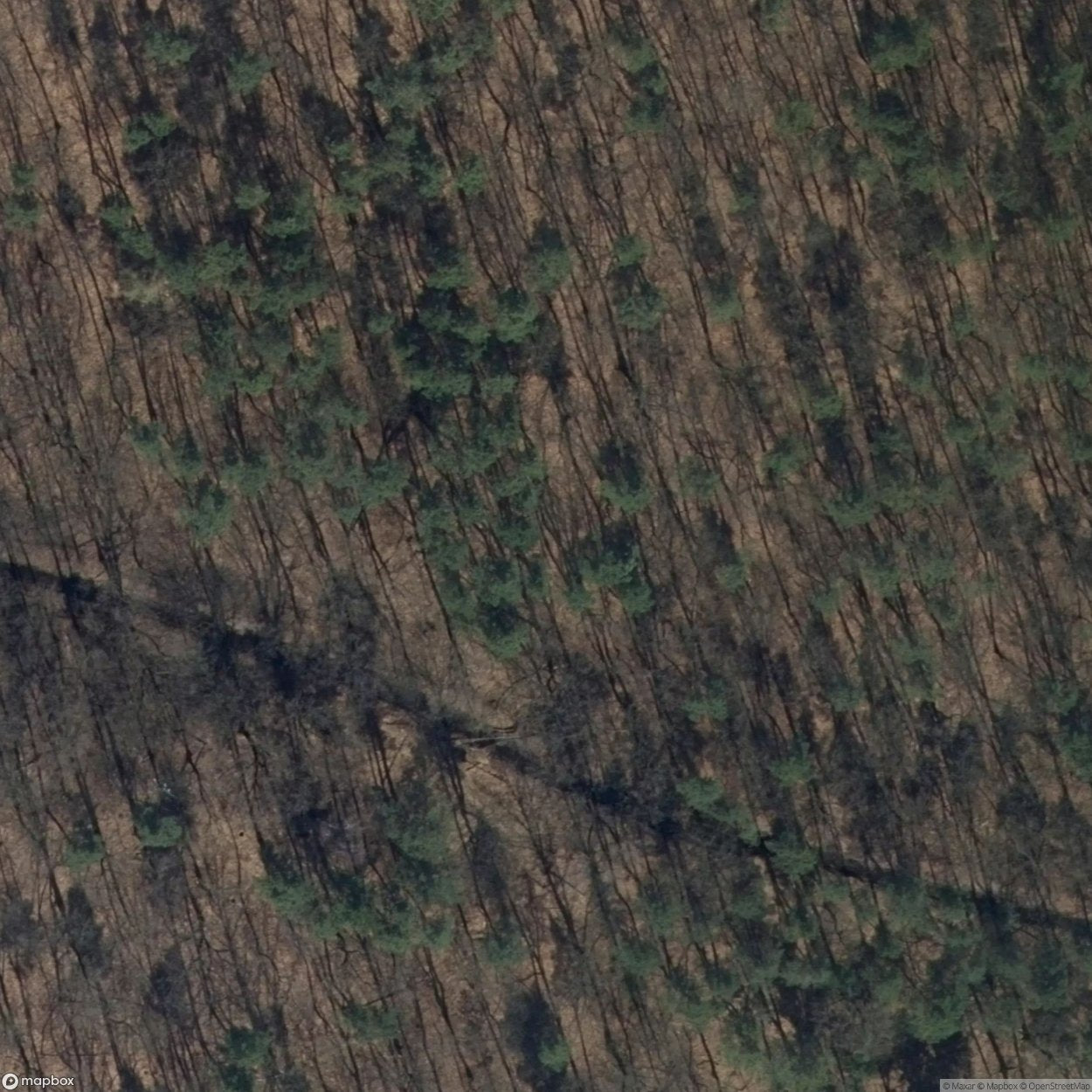 Blechhammer concentration camp [POL]