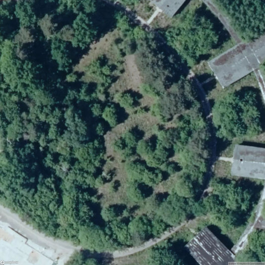 Forest Hospital [DEU]