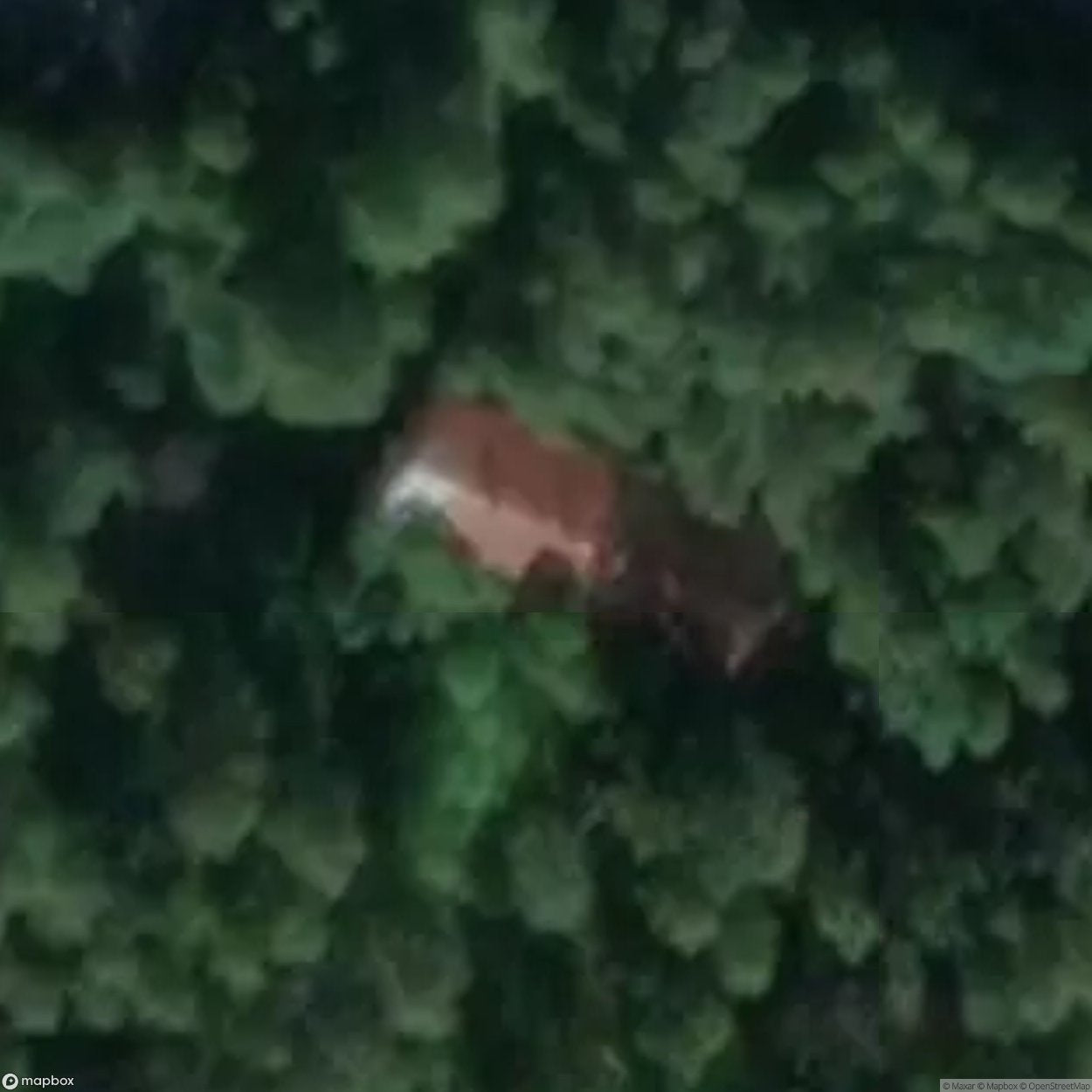 Lost Cabin Woods [SWE] #01284