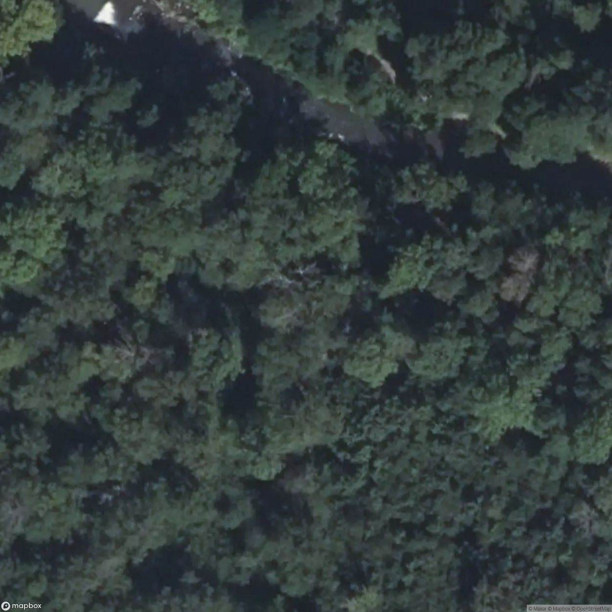 Bunker Trail / Artillery Position [FRA]