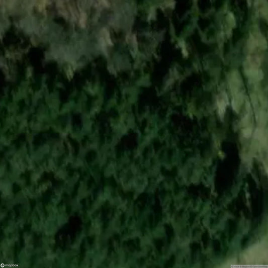 Castle Freudenkoppe [DUI]
