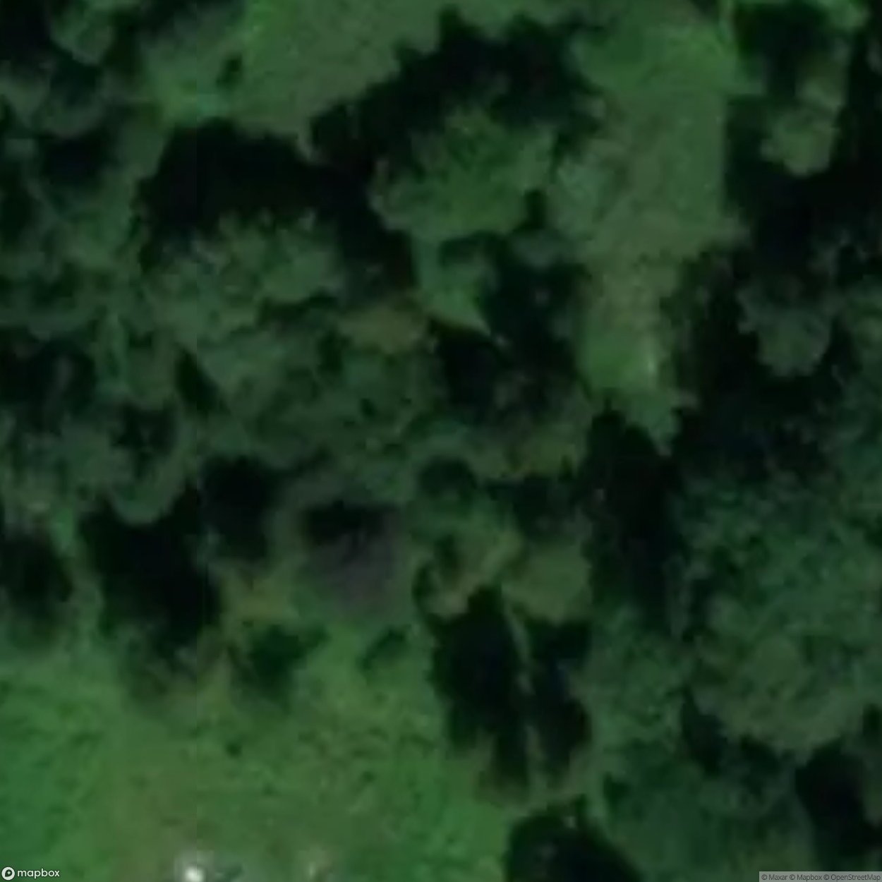 Ruined manor in Mirocin ?redni [POL]