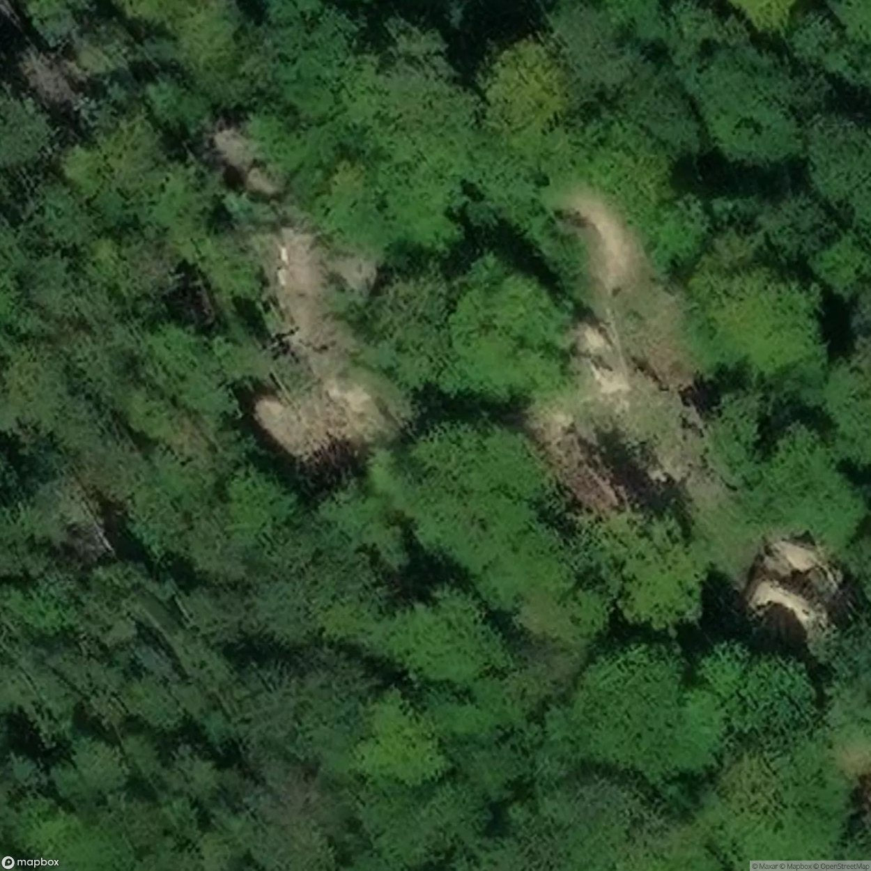 Bolczów Castle [POL]