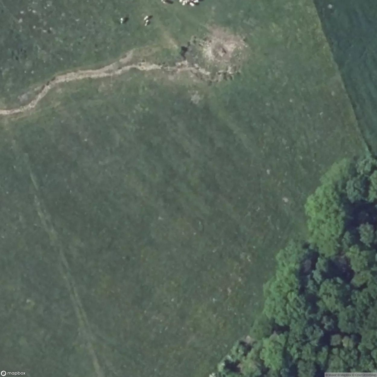 Coume Fortification [FRA]