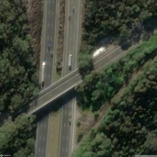 Wet Pussy Dry Pussy [AUS]