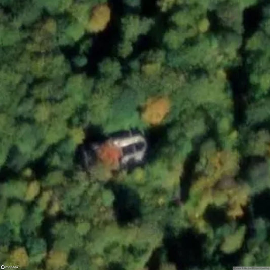 Ruins of St. Ulrich's Chapel [DEU]