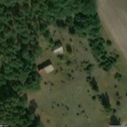 The Beauty of the Woods [POL]