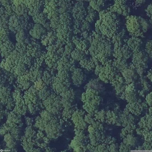 Berenbach Fortification [FRA]