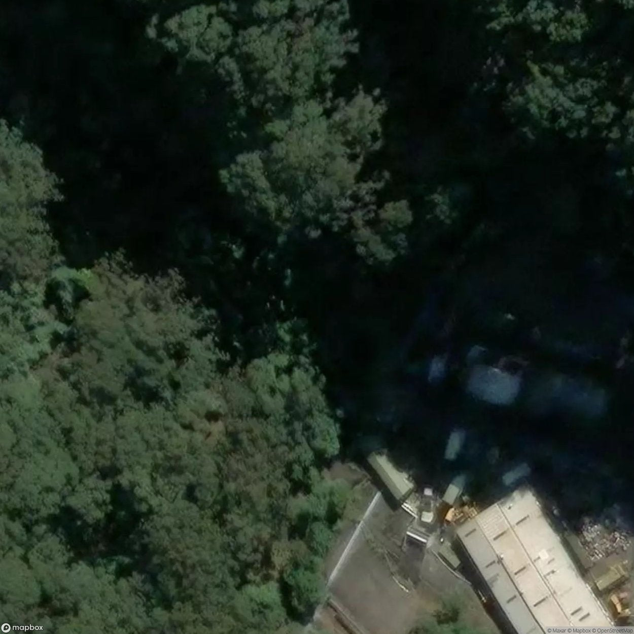 Watership Down [AUS]