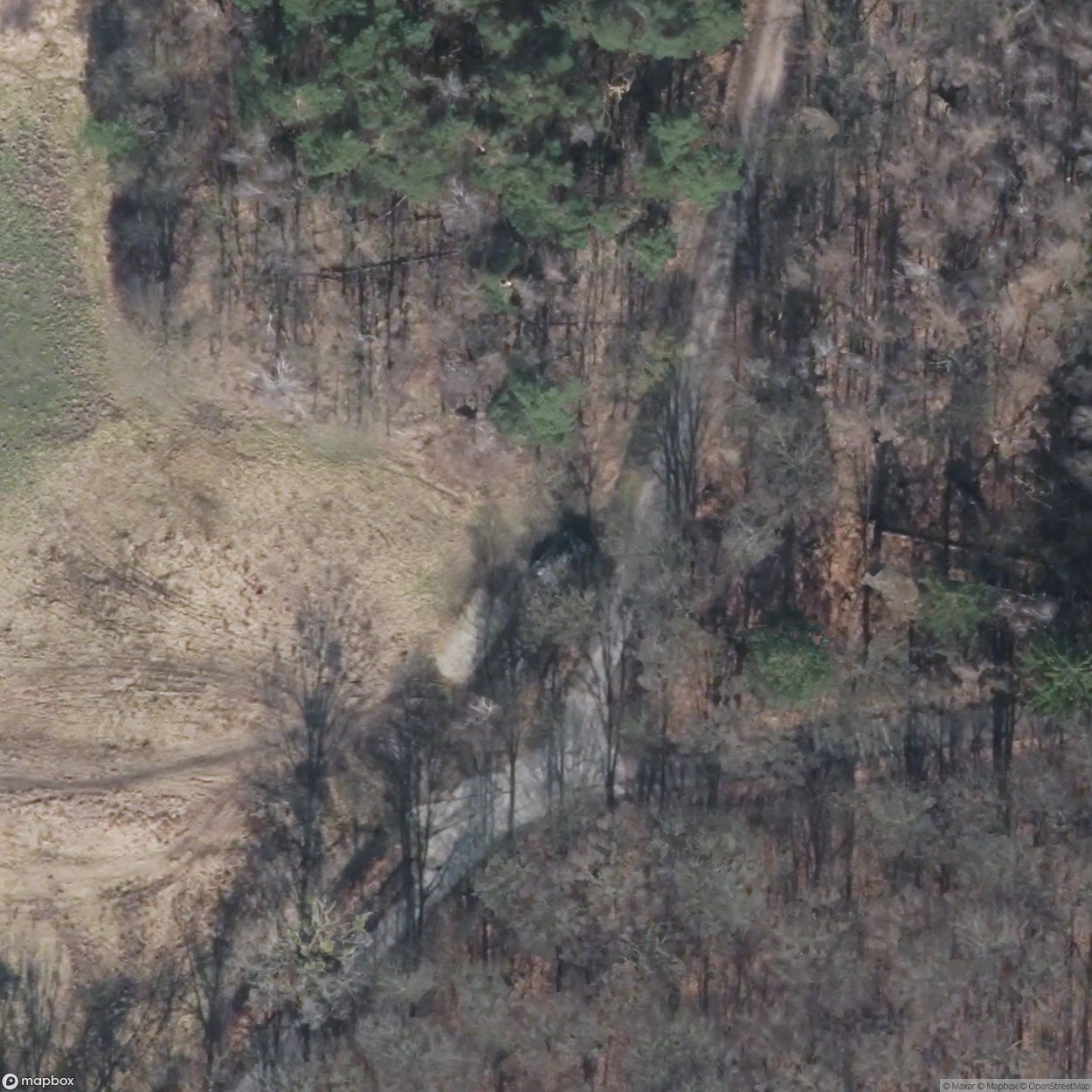 Panzer Wreck (M47 Patton Tank) [DEU]