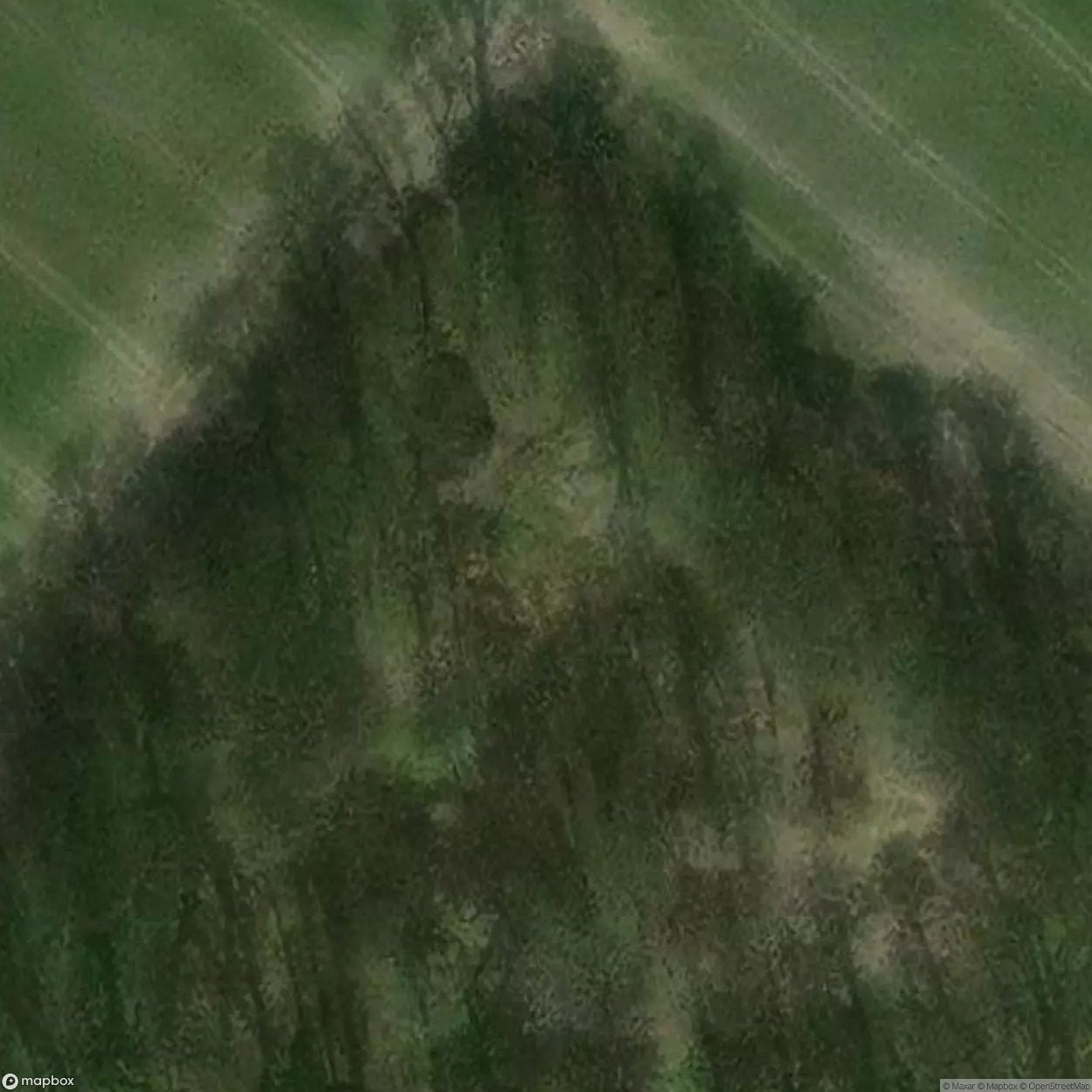Site Czernin [POL] #32990