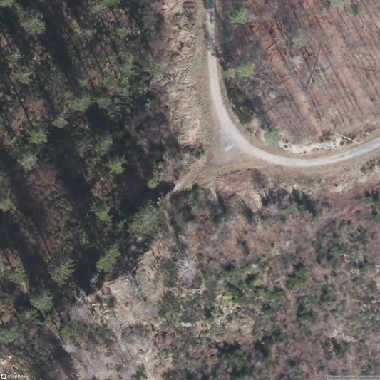 Bunker WEF2991 [DEU]