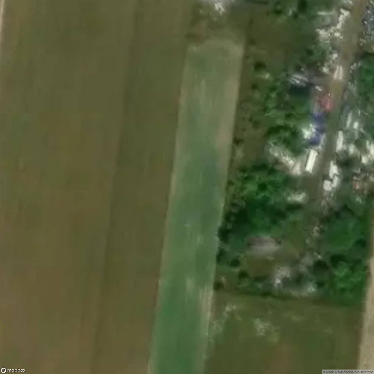 Historic Cemetery Bechcice [POL] #35801