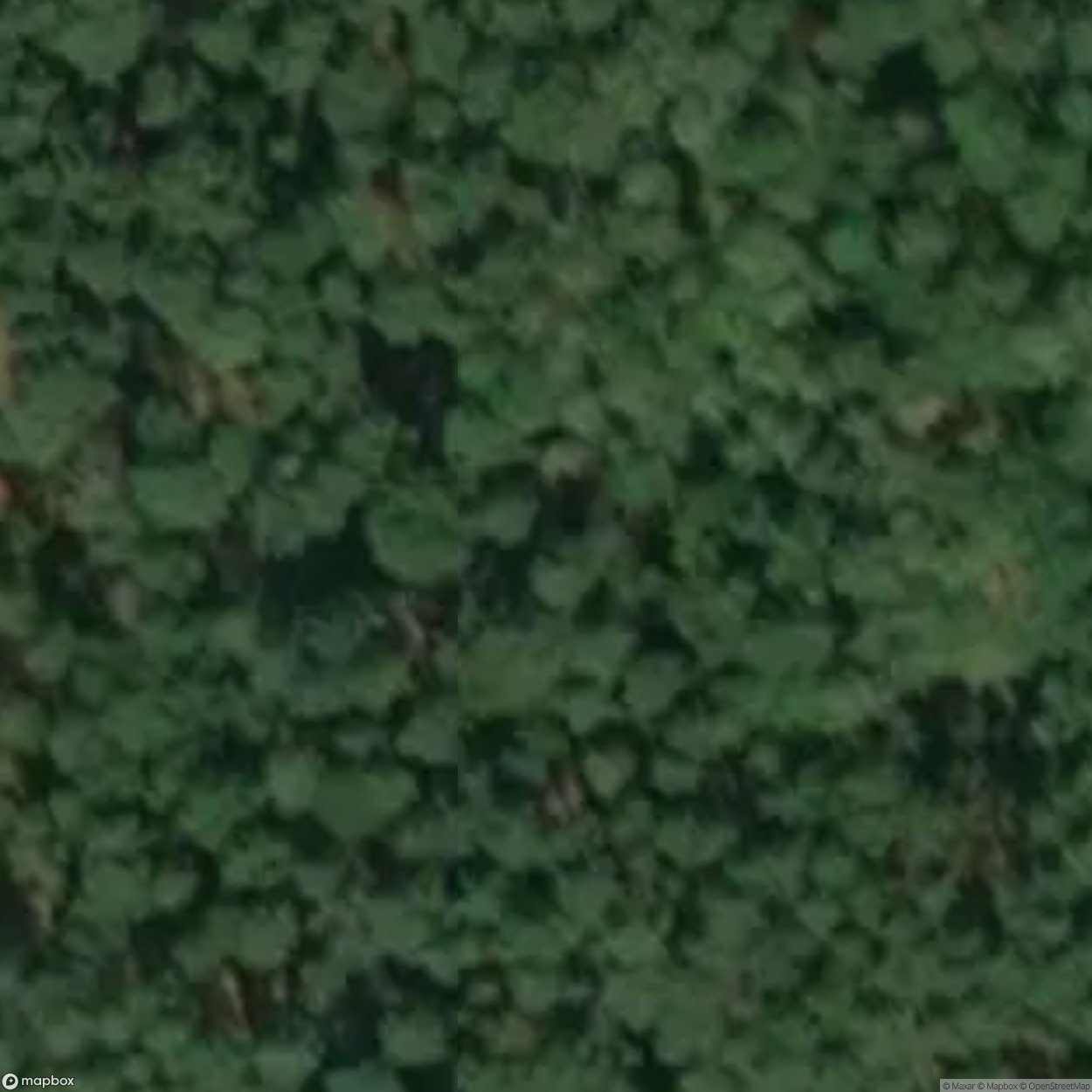 Nature Garden Harderwijk [POL] #16689