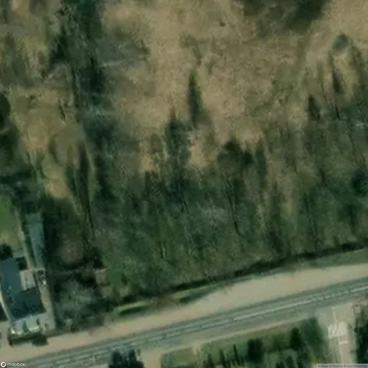 Historic Cemetery Owicz [POL] #35807