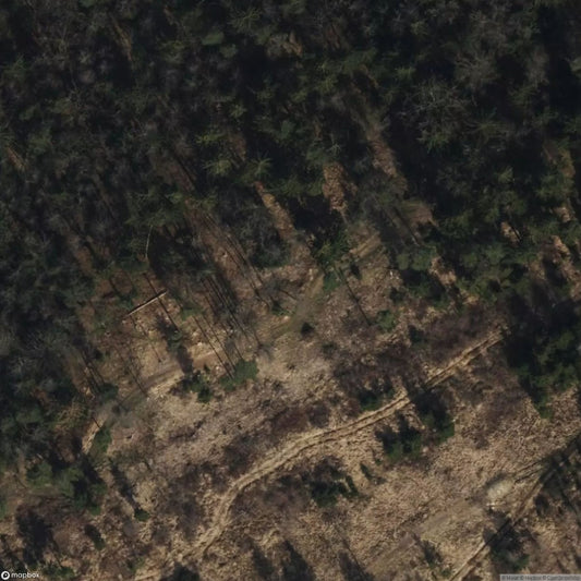 Shooting Range (WW2) 2639 [AUT]