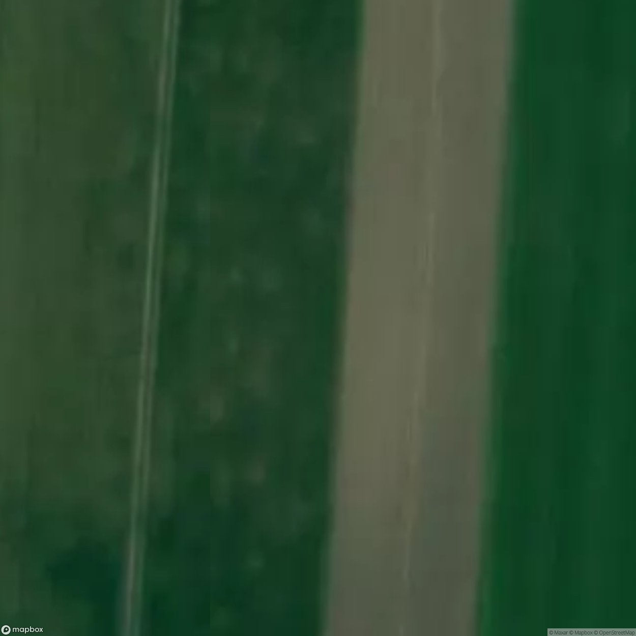 Bojano Website [POL] #32940