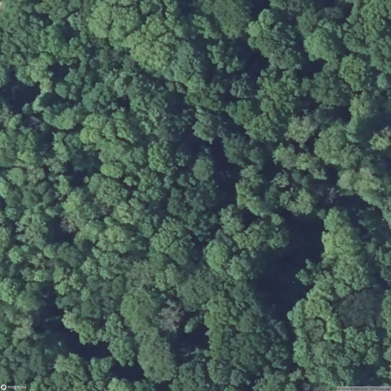 Bois de Tappe Casemate [FRA]