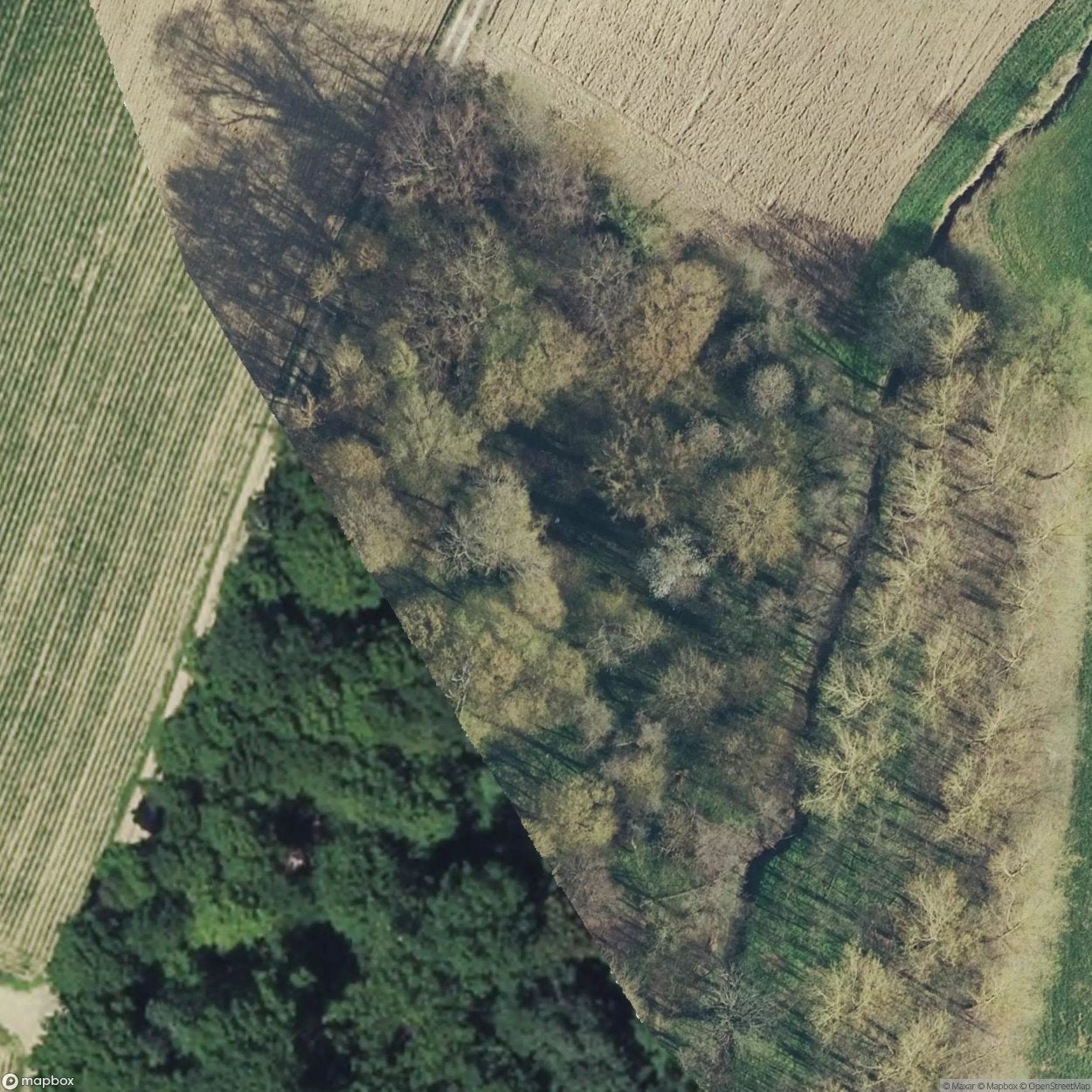 Bunker Trail / Artillery Observation [FRA]