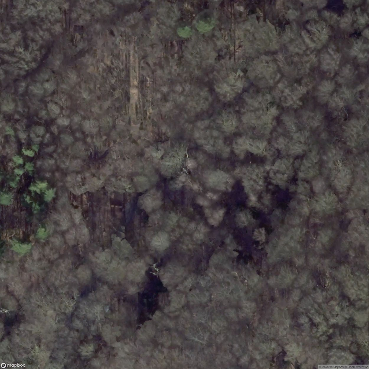 Visitor Mine Graf Wittekind [DEU]