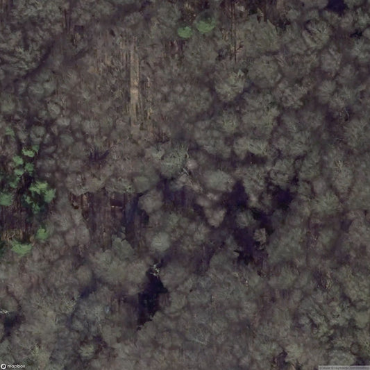 Visitor Mine Graf Wittekind [DEU]