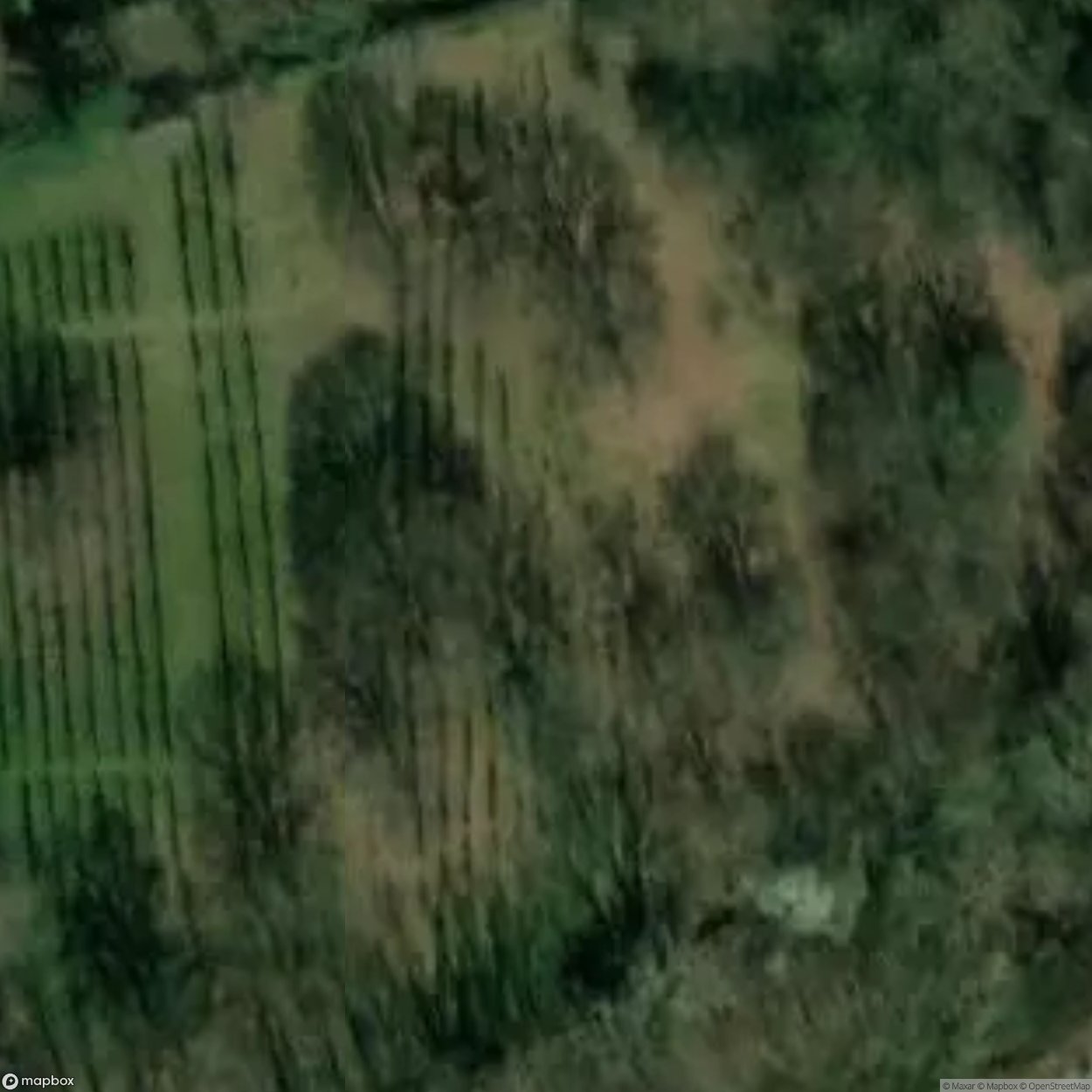 Jewish Cemetery Alsbach [DEU]