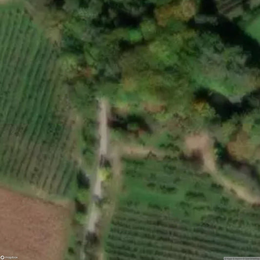 House 2674 [OTHER] [AUT]