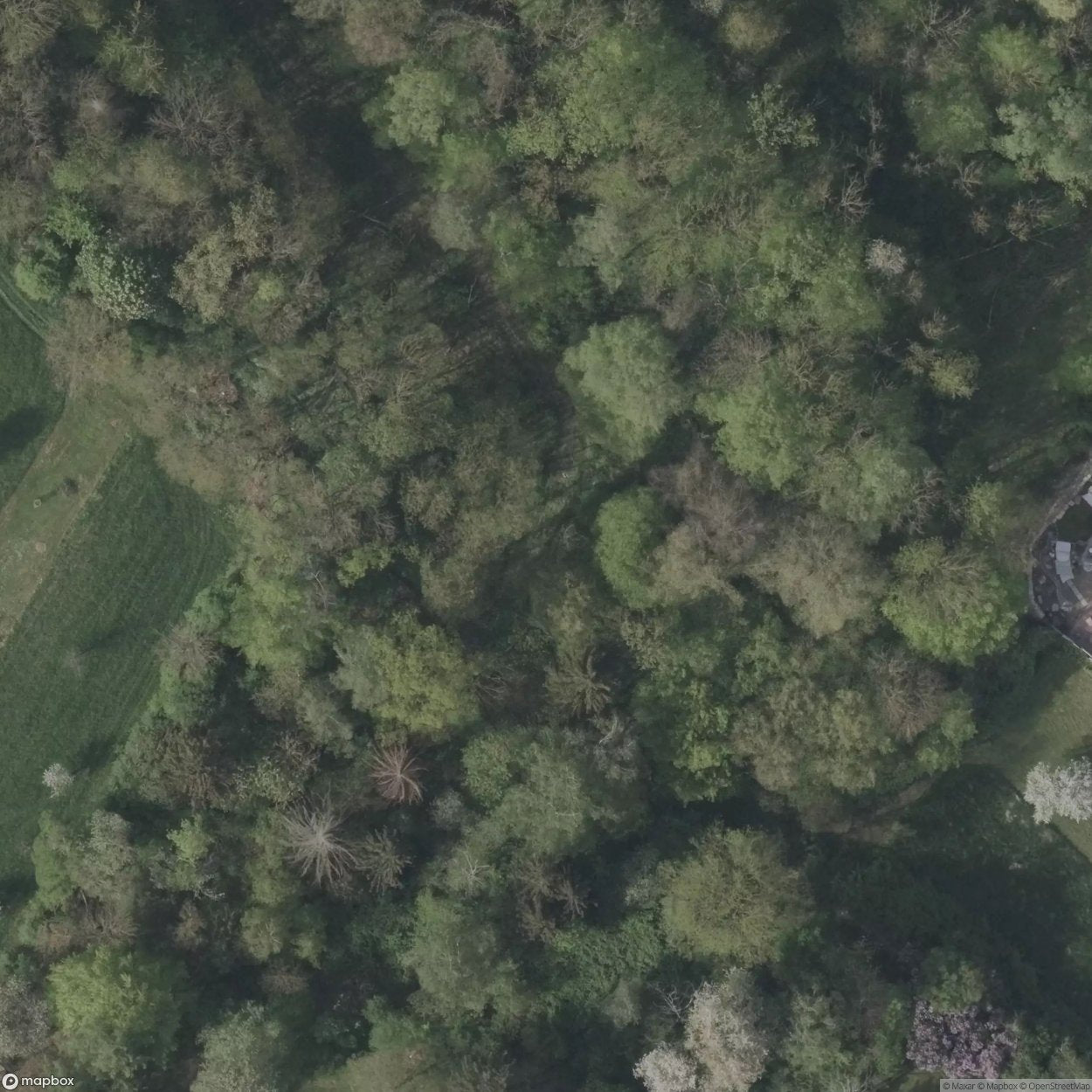 Shooting Range 6 [DEU]