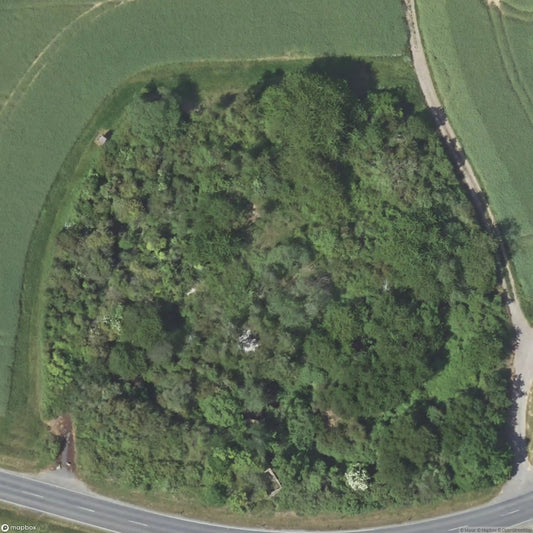 Lime Burning Plant [DEU]