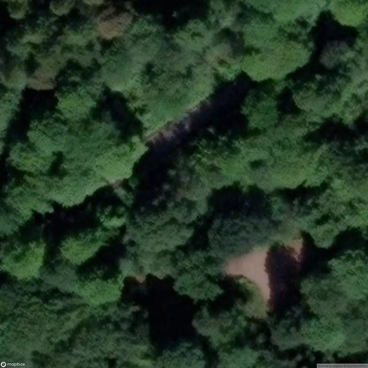 Speedwell Shaft [GBR]