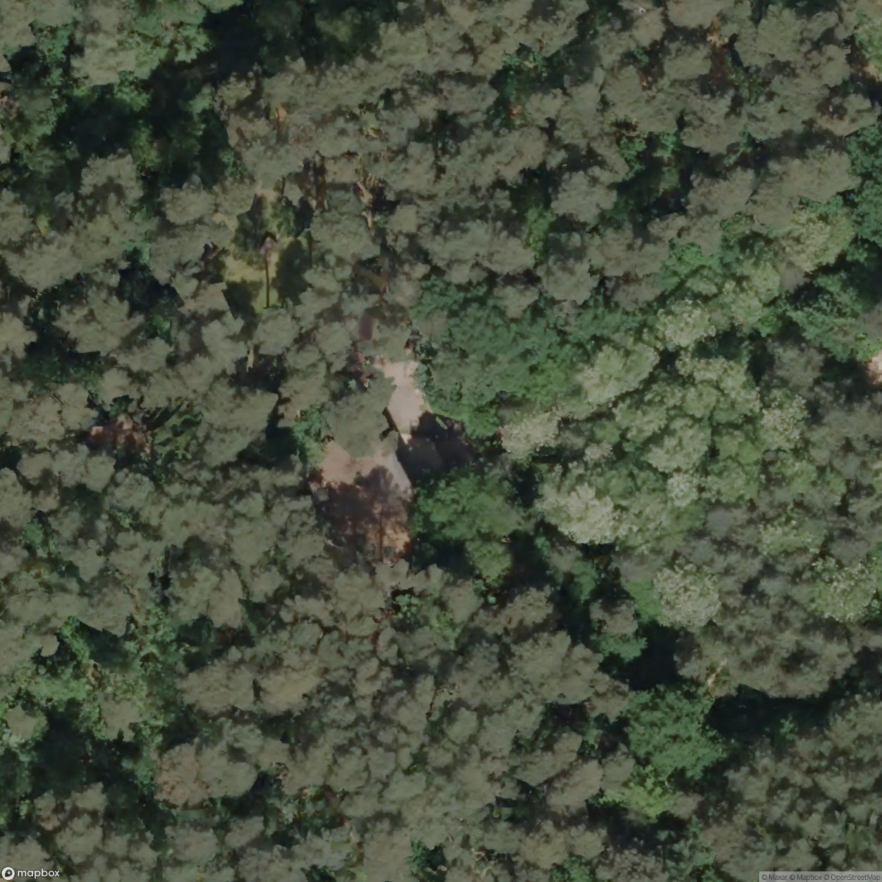 Old Shooting Range Rhedaer Forest [DEU]