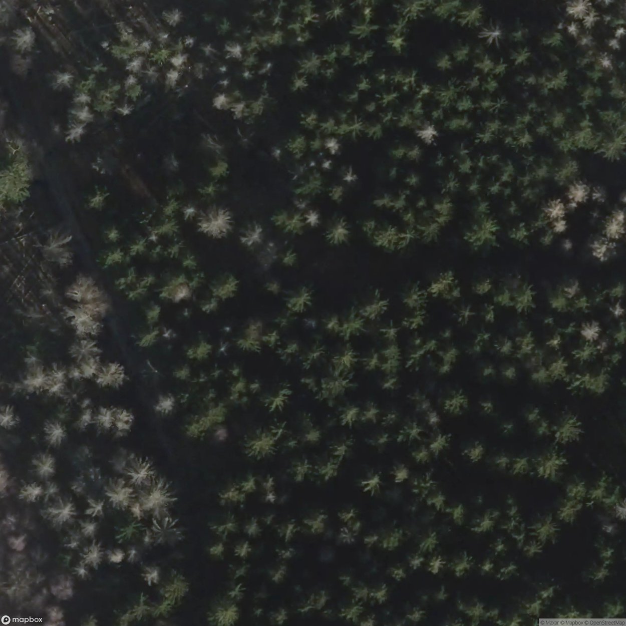 Village In The Woods [DEU] #00302