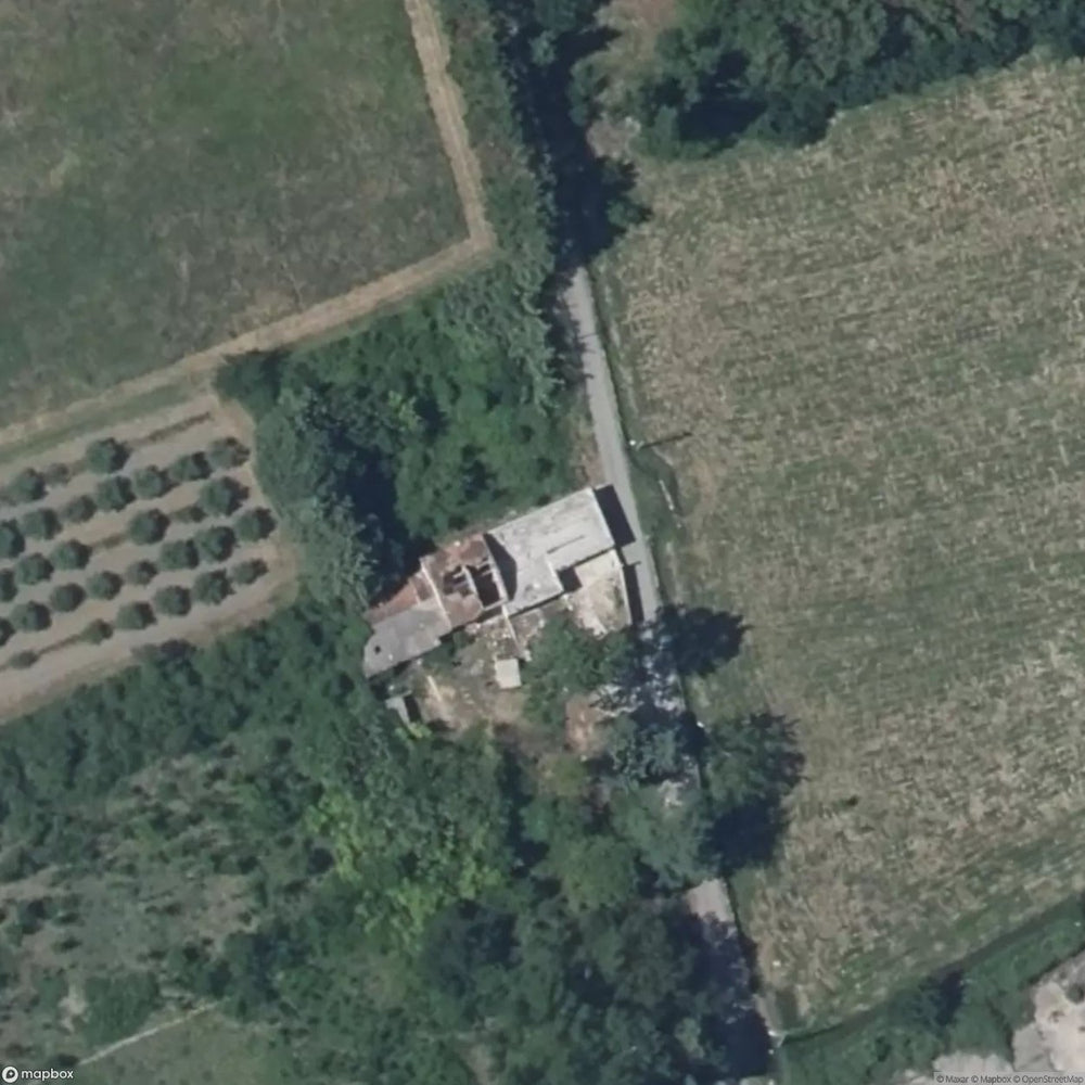 The Mushroom House [FRA] #01638