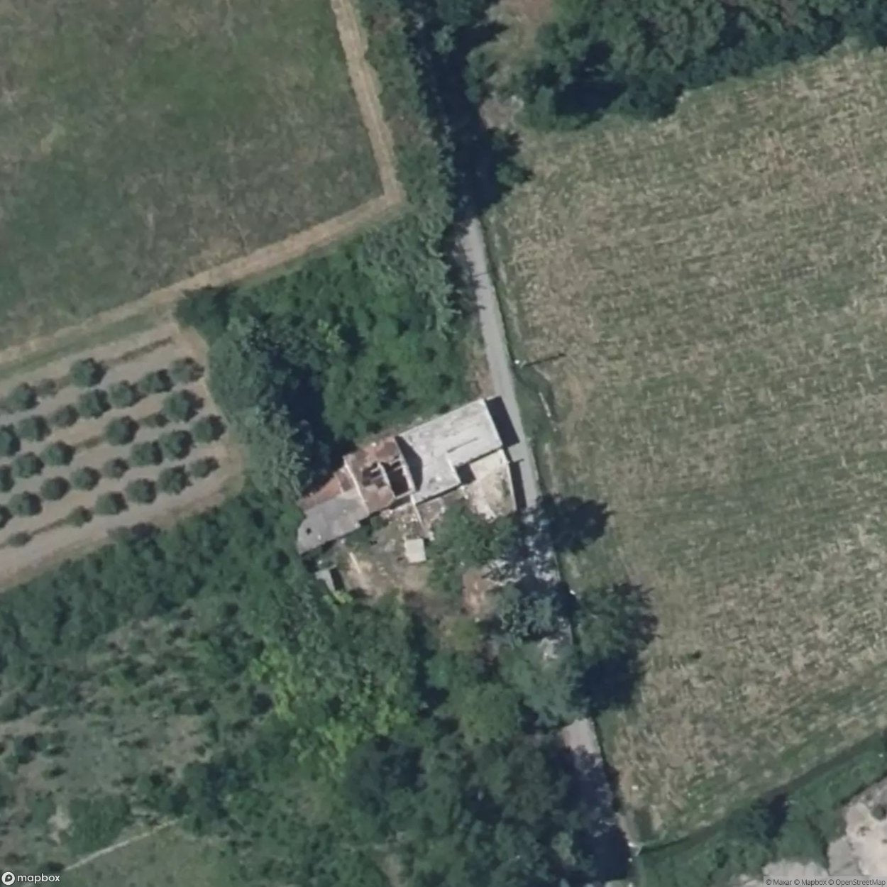 The Mushroom House [FRA] #01638