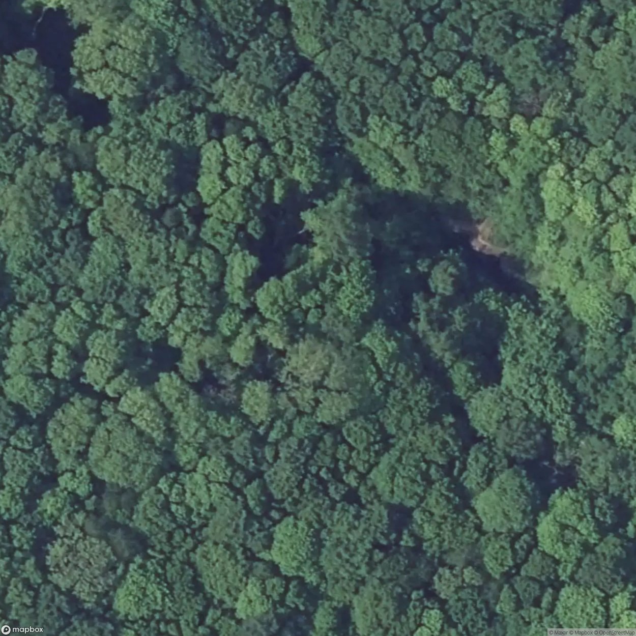 Latiremont Block 6 [FRA]