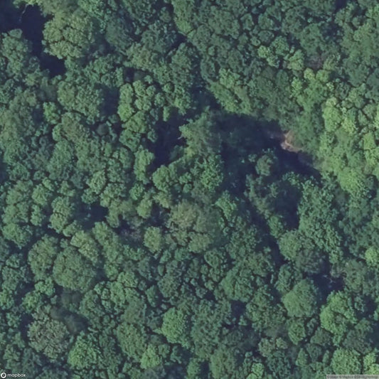 Latiremont Block 6 [FRA]