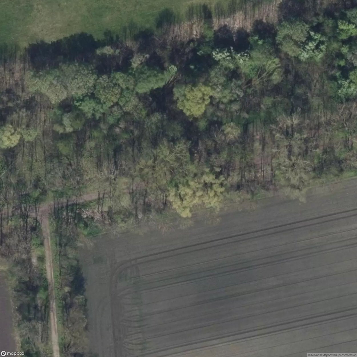 Bridge to Nowhere [DEU]