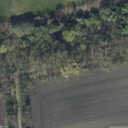 Bridge to Nowhere [DEU]