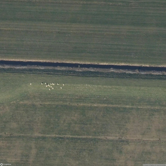 Bergen Airfield [NLD]