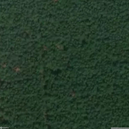 Forest Hotel Seerose [DEU]