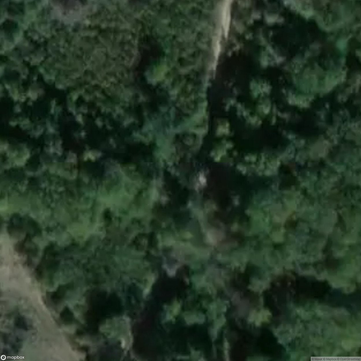 Sacred oak (natural monument) [DEU]