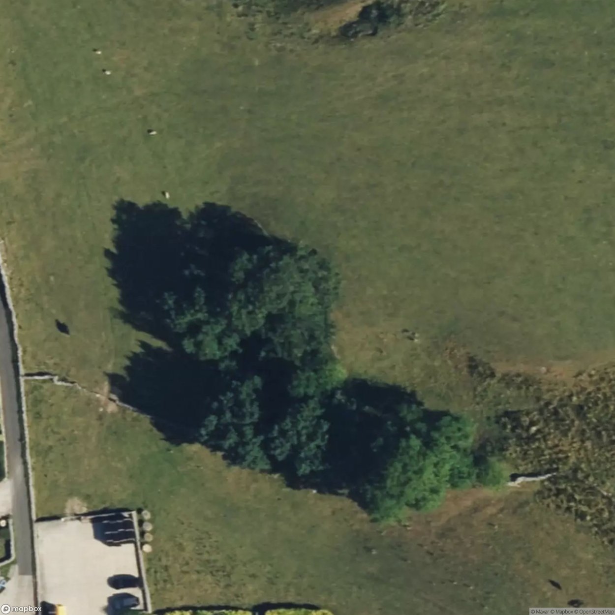 Quarters Farm Swallet [GBR]