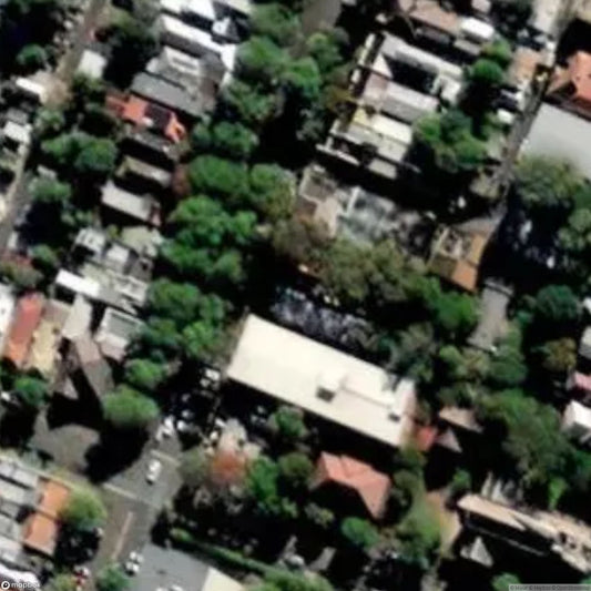 Annandale Street Squat